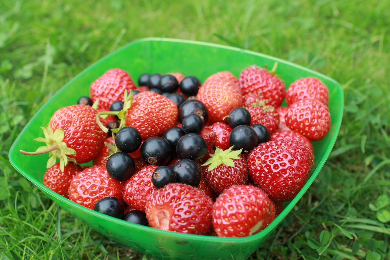Image - strawberry currant dacha garden