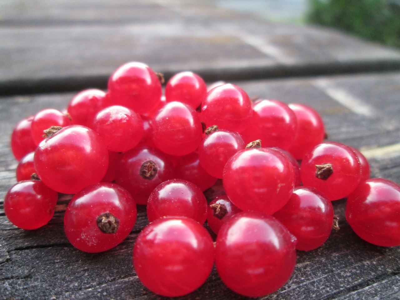 Image - red currant many currants currant