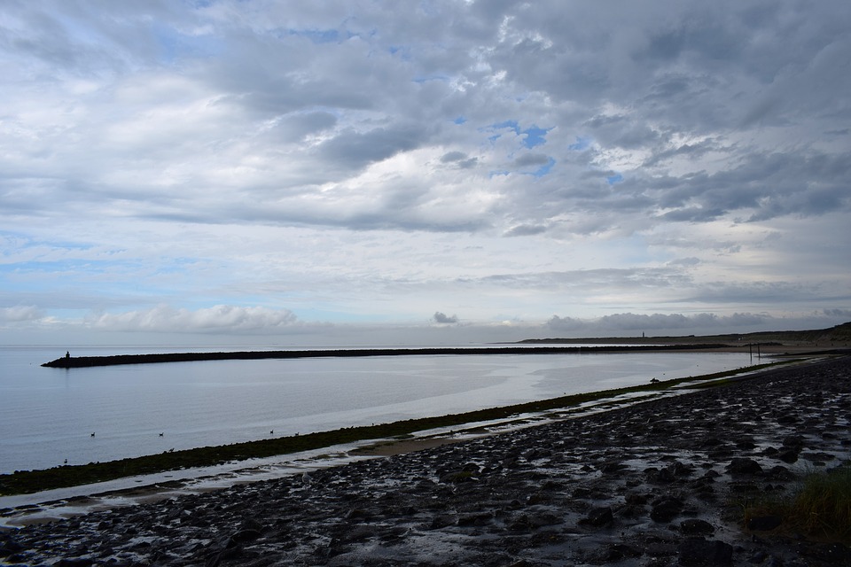 Image - seascape shore horizon beach sky