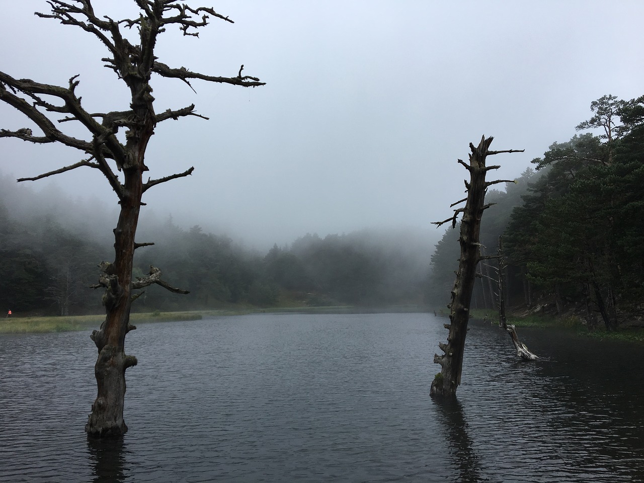 Image - lake fog pond mountain landscape