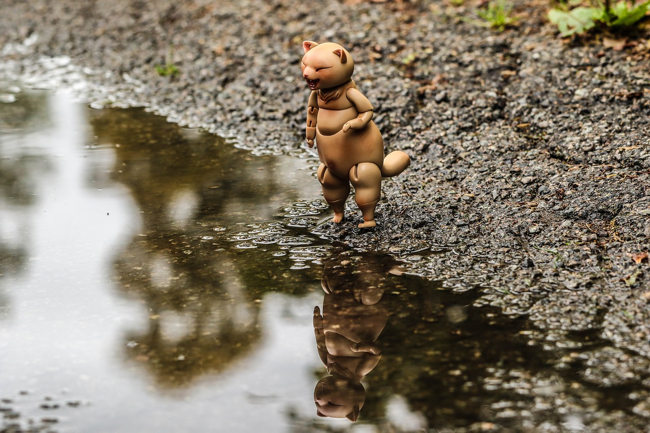 Image - toy puddle water reflection