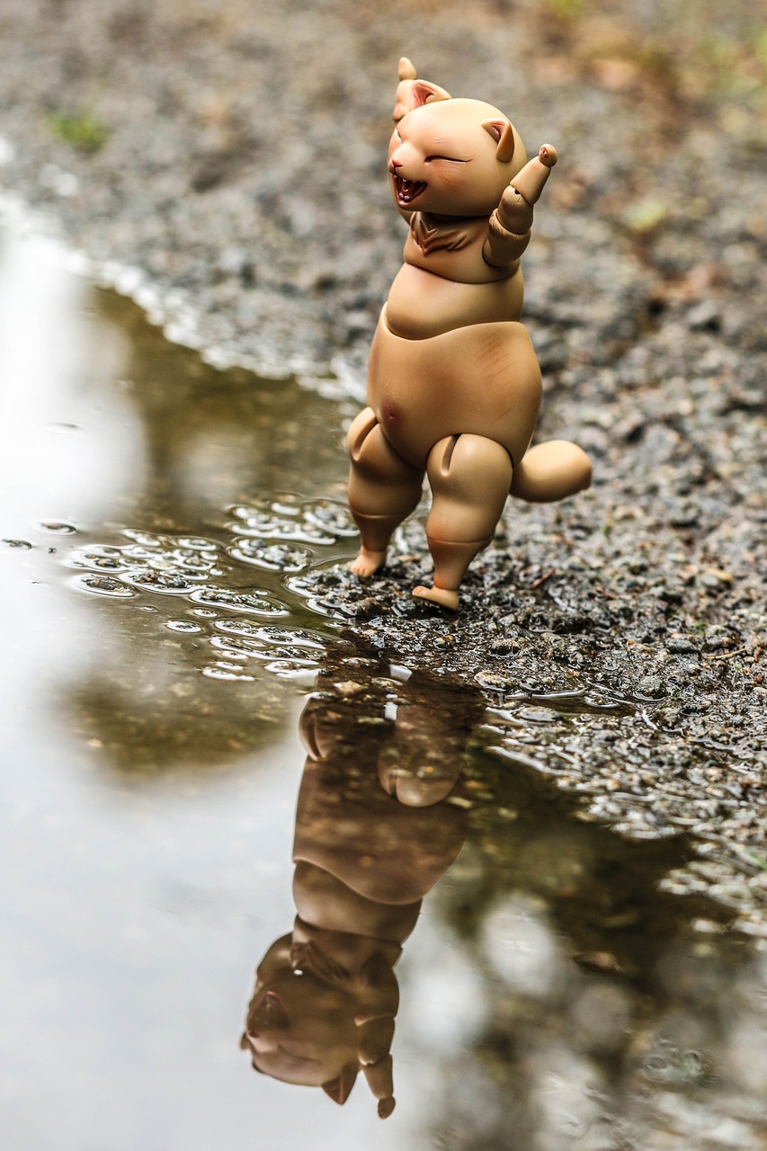 Image - toy happy puddle water reflection