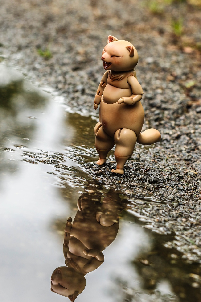 Image - toy puddle water reflection