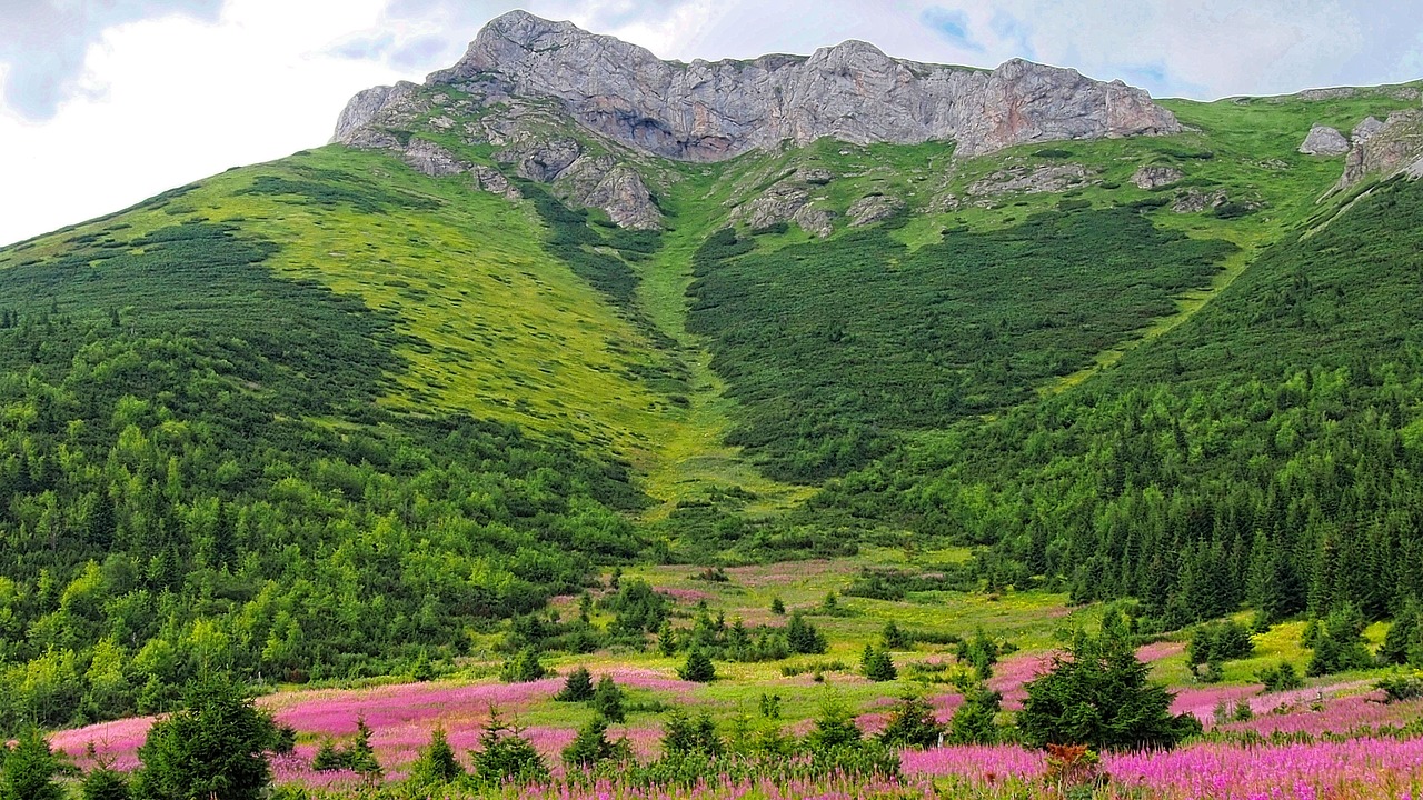 Image - tatry the slovak tatras slovakia