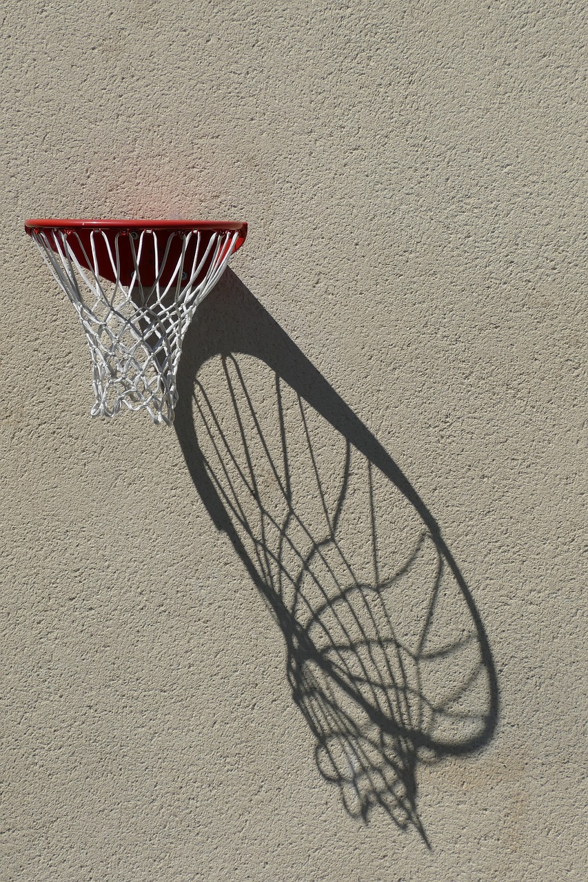 Image - basket basketball sports just