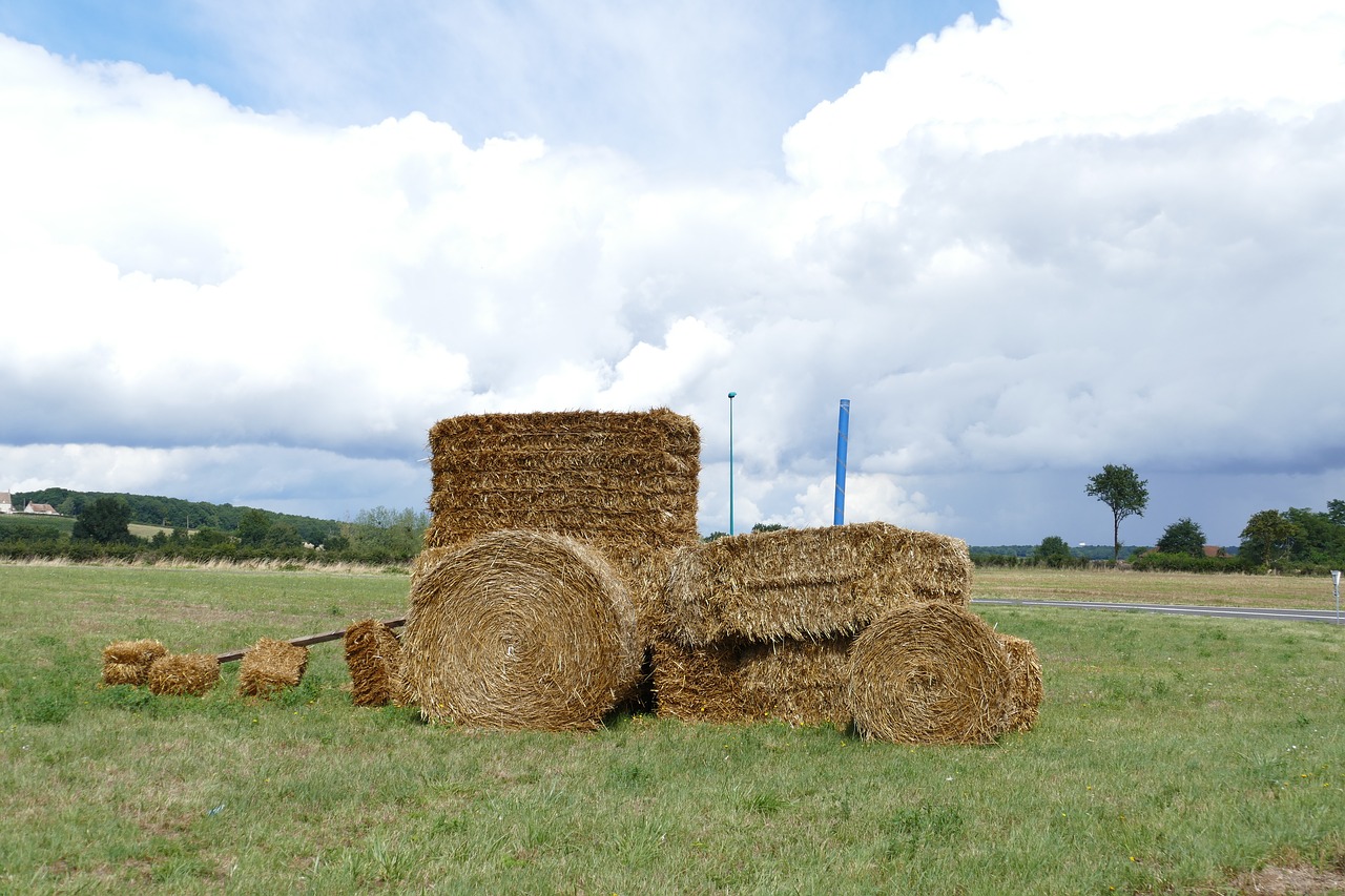 Image - tractor hay hay bale