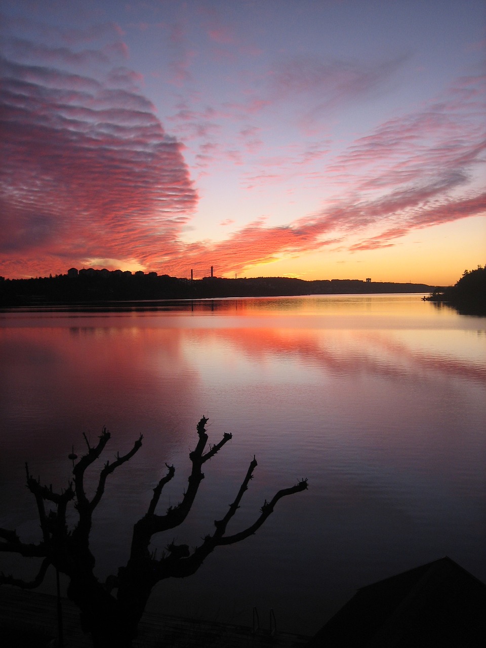 Image - sunset water lake sea cloud tree