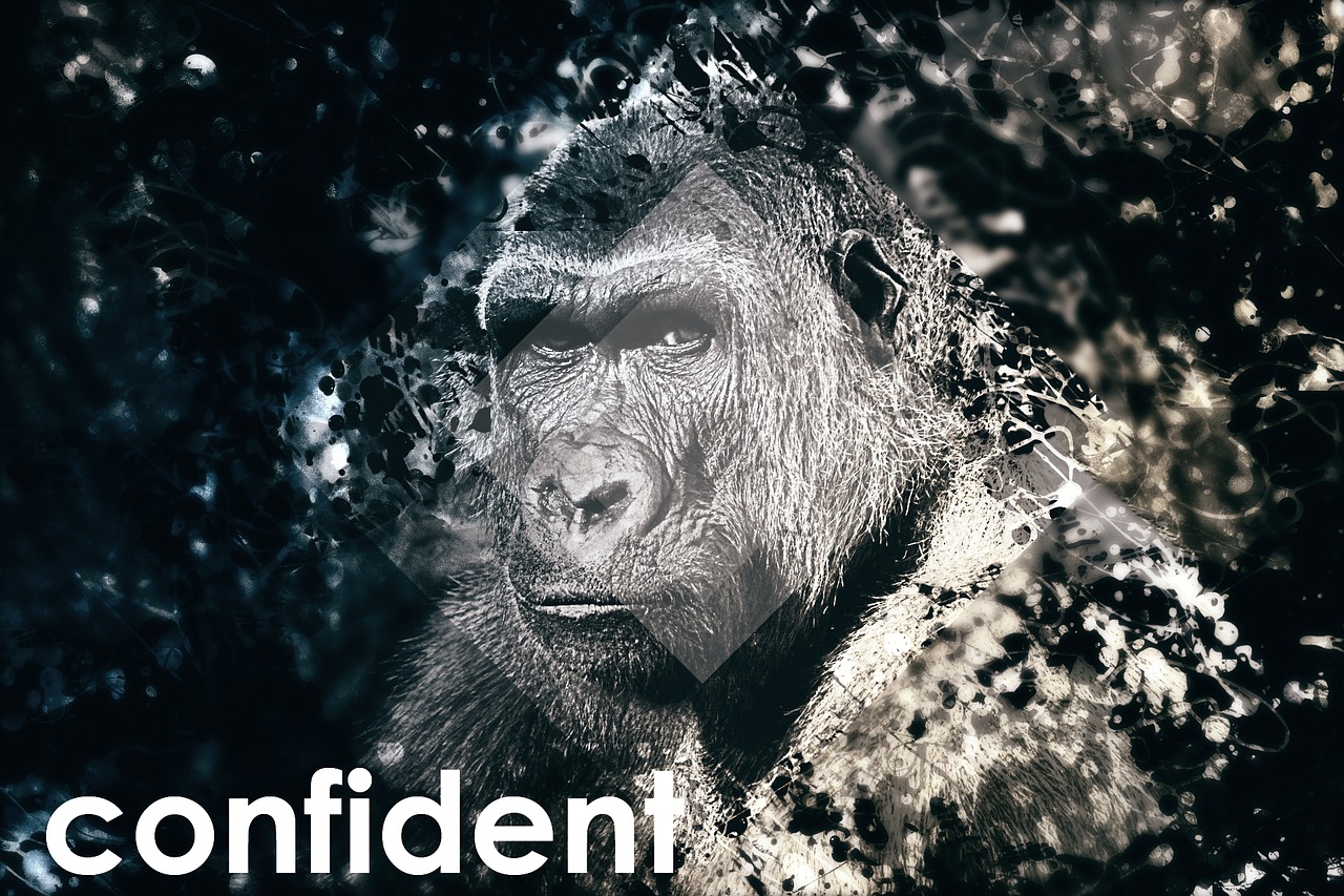 Image - confident self conscious gorilla