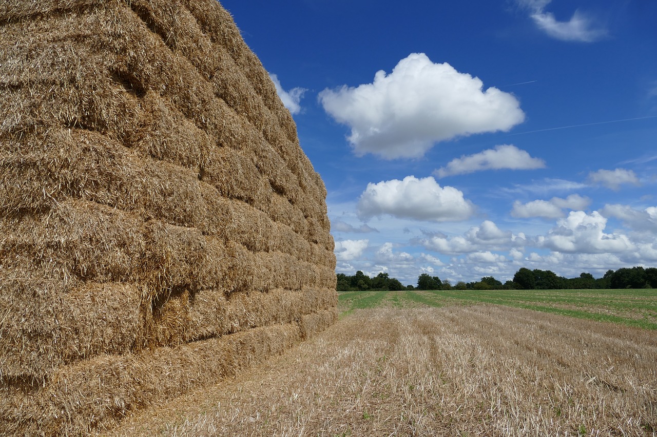 Image - hay hay bale straw straw bale food