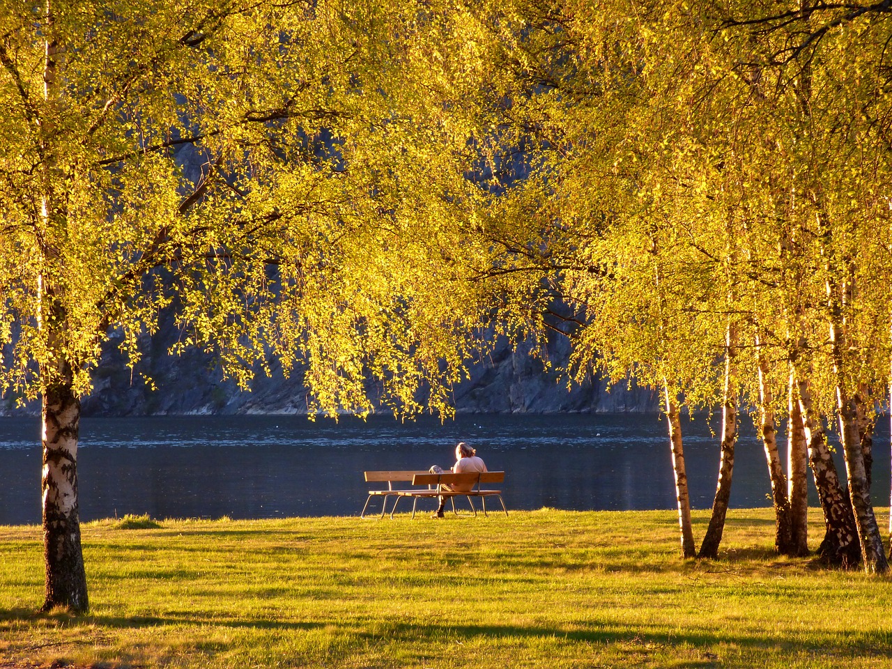 Image - park trees sunset bench relax