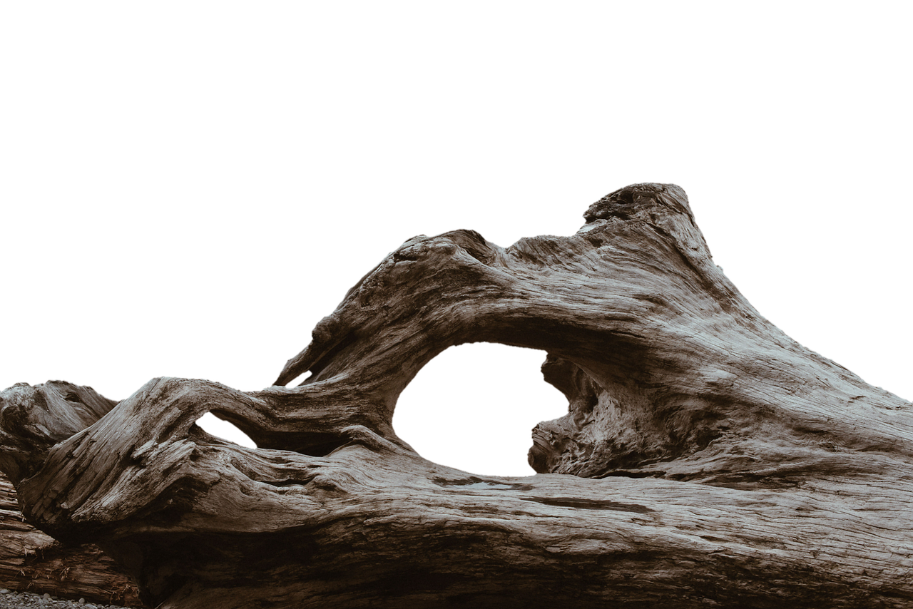 Image - log tribe tree wood morsch