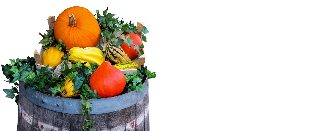 Image - nature harvest autumn agriculture