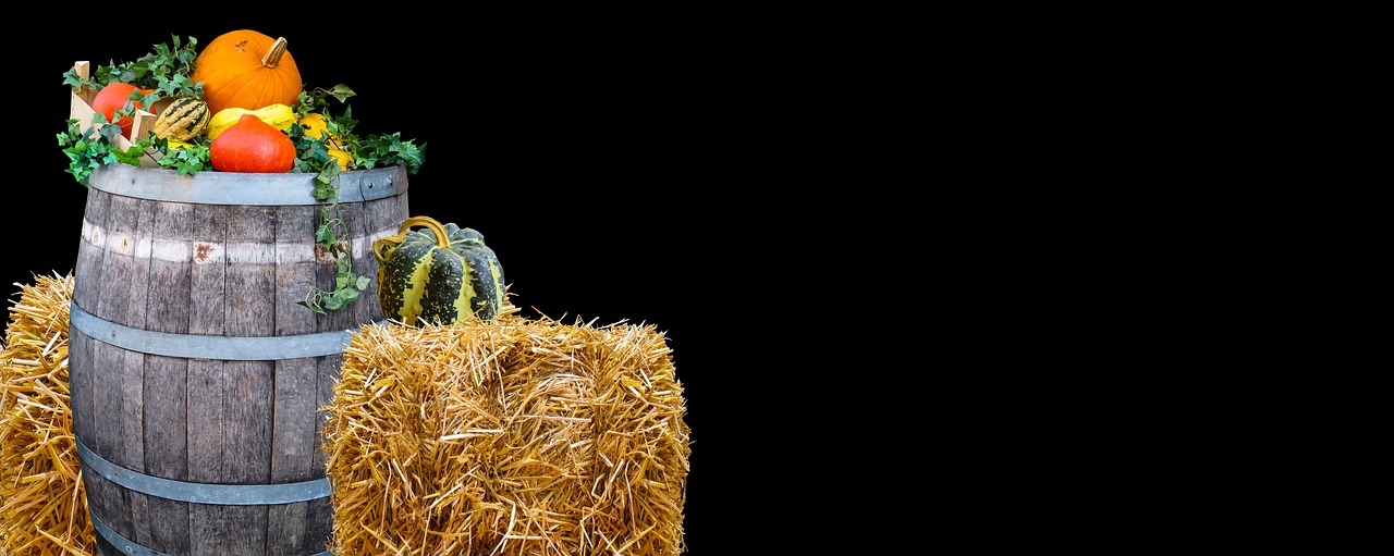 Image - nature harvest autumn agriculture