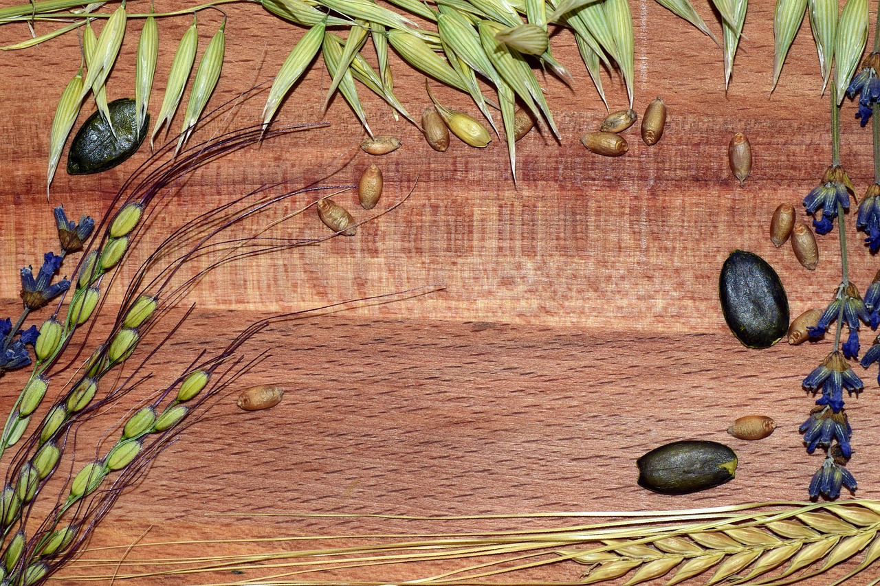 Image - cereals rice barley wheat oats