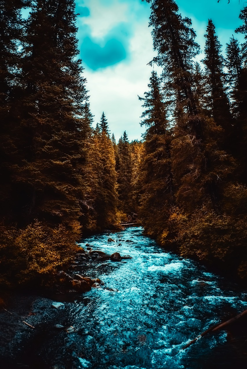 Image - alaska landscape stream river