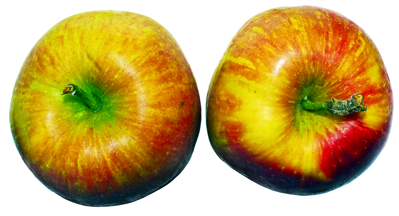 Image - apple fruit pome fruit