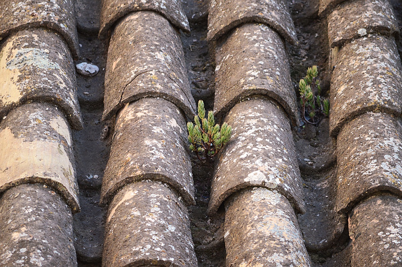Image - texas clay tiles rustic roof old