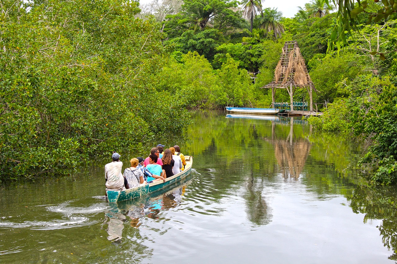 Image - river trip tropical green water