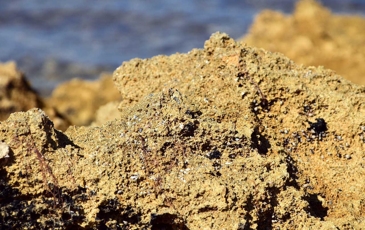 Image - sand stone beach sea close holiday