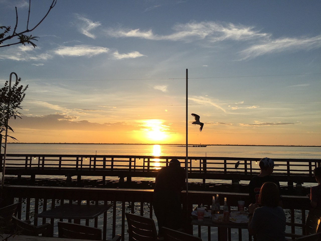 Image - bay sunset pelican sky ocean