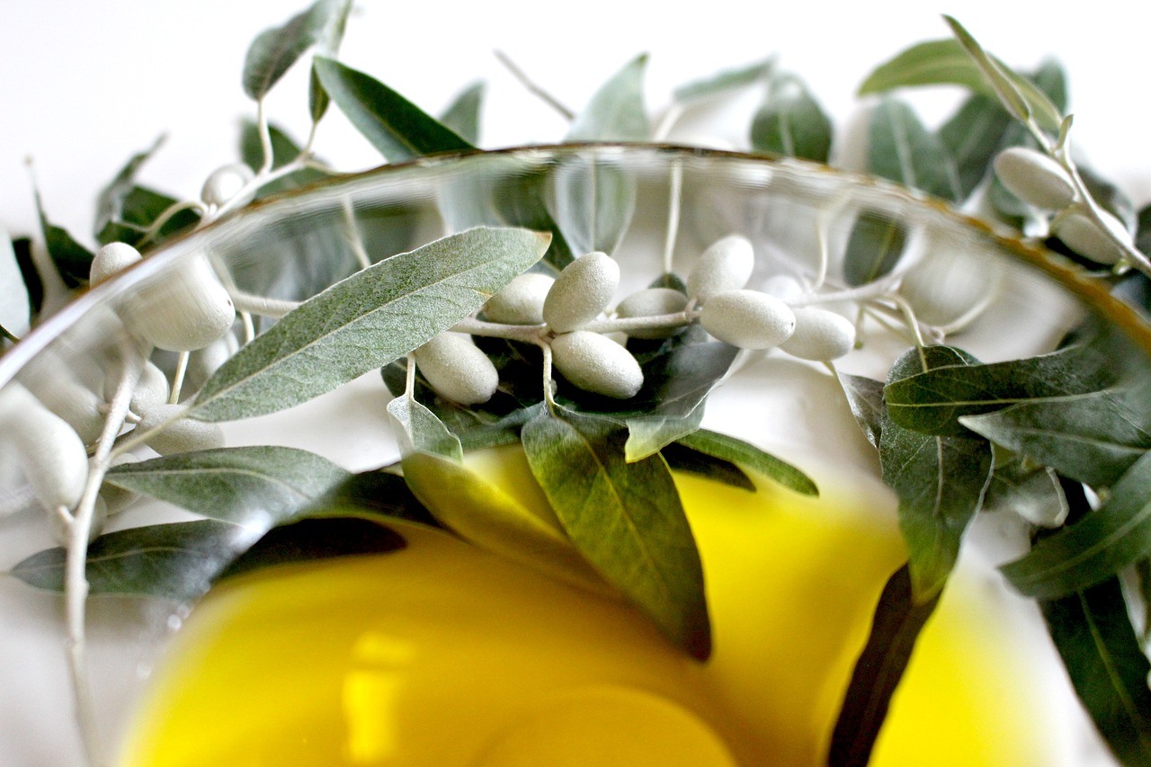 Image - olive olive oil olive leaf plant