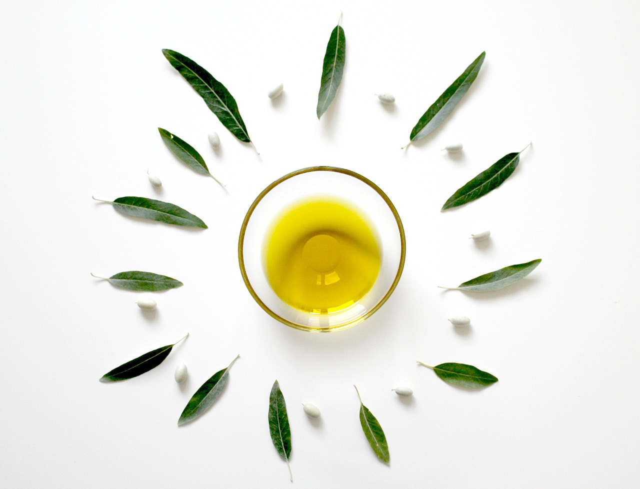 Image - olive olive oil olive leaf plant