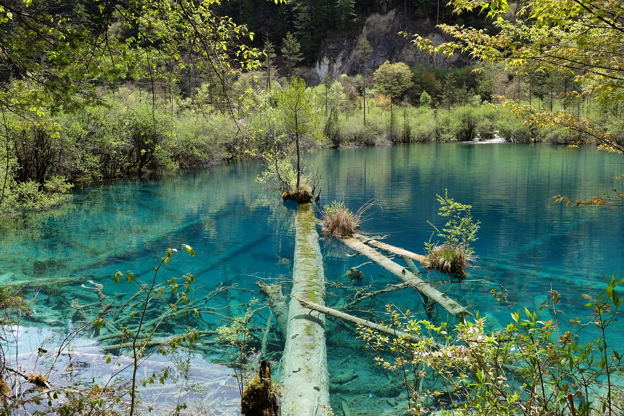 Image - jiuzhaigou lake sichuan china