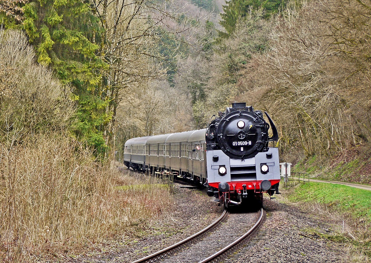 Image - steam locomotive special train eifel