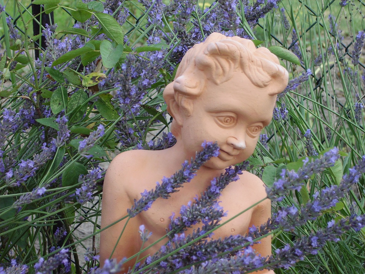 Image - garden lavender cherub