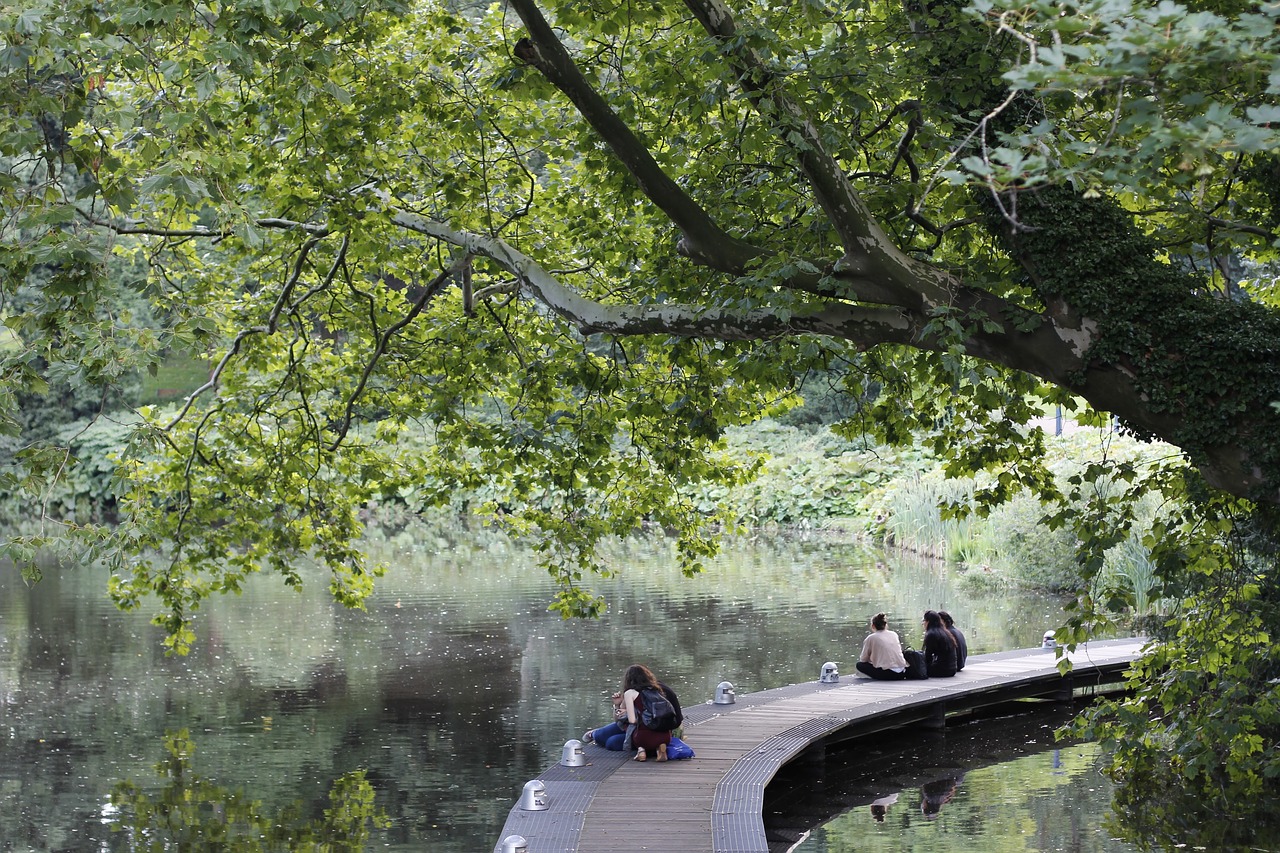 Image - web idyll relax green green area