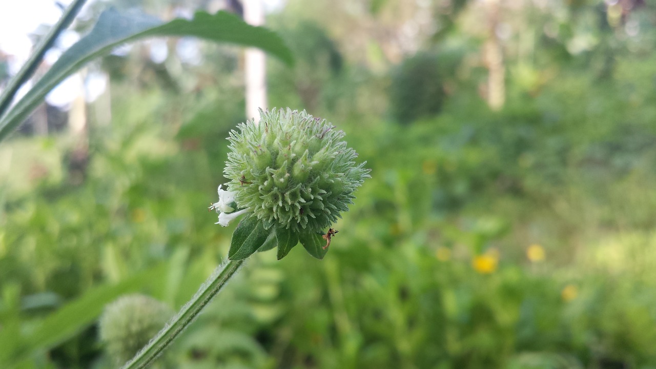 Image - shot during a miday hike