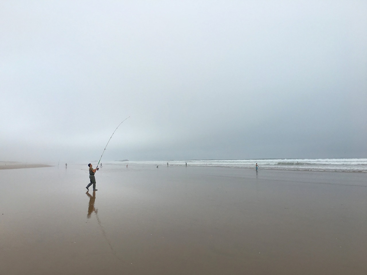 Image - angler fish beach wide horizon