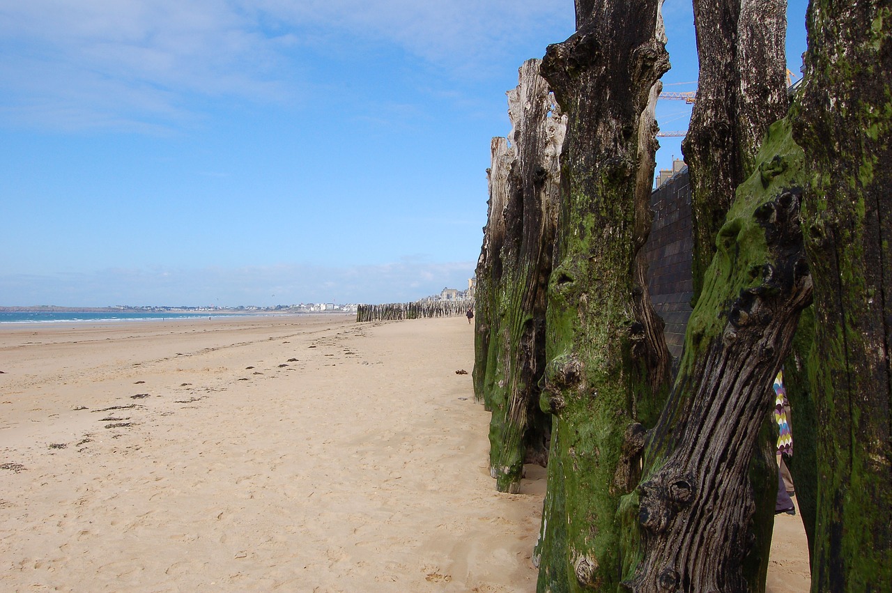 Image - brittany beach sea horizon sand
