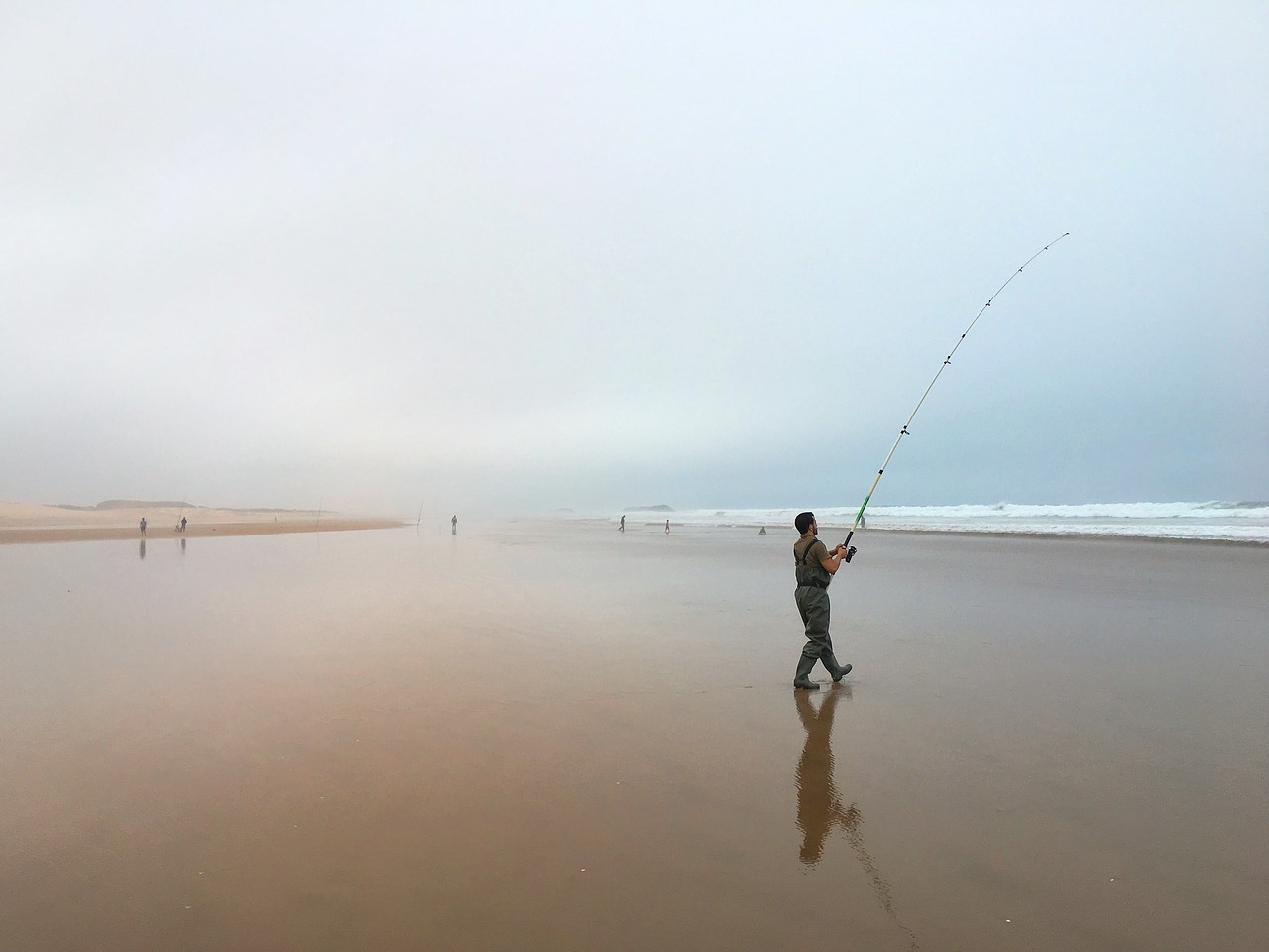 Image - angler fish sea fishing rod beach