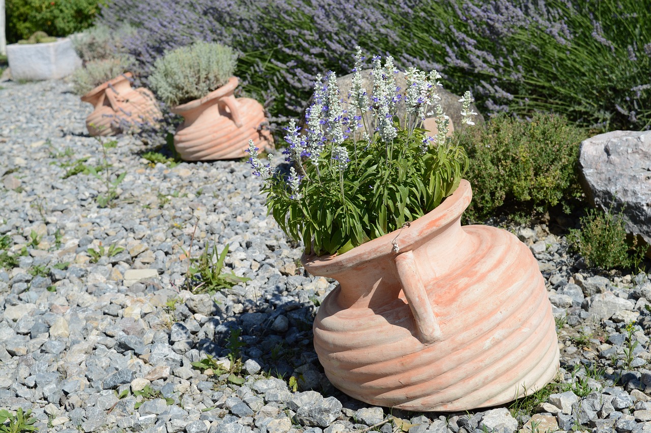 Image - lavender jars white lavender gravel