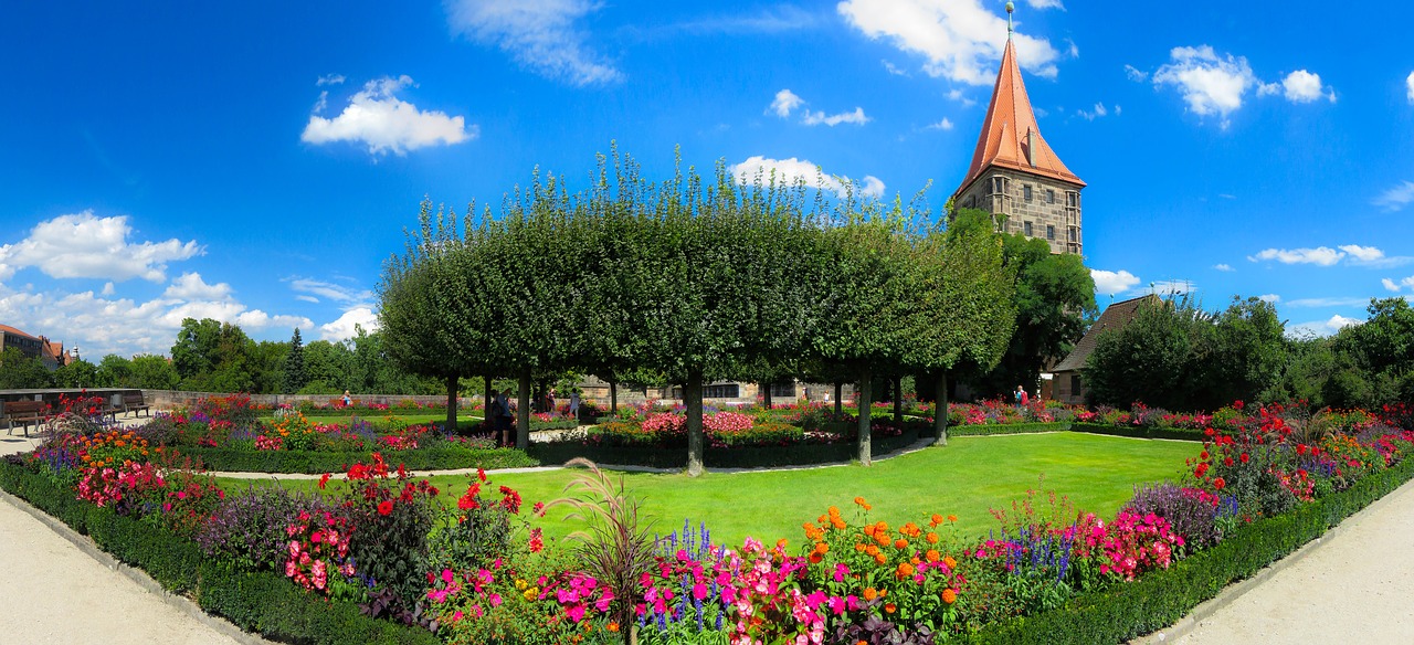 Image - nature garden flowers bloom summer