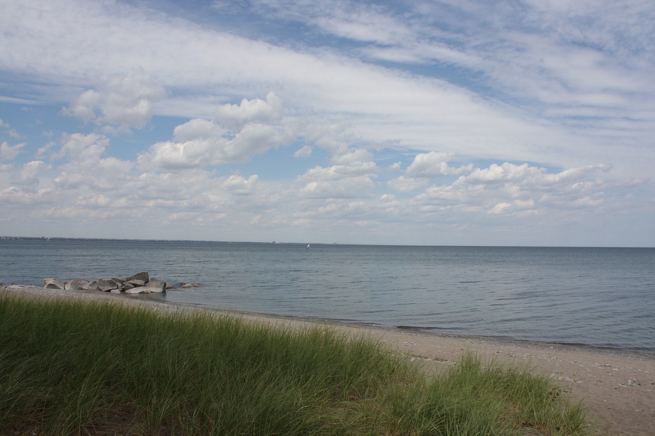 Image - beach sky grass ocean water