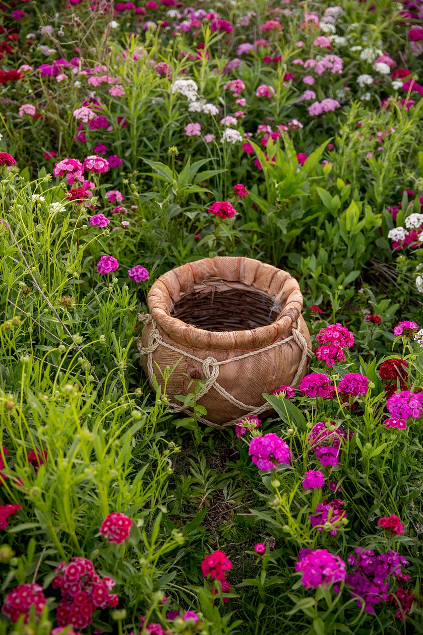 Image - flower field bucket baby