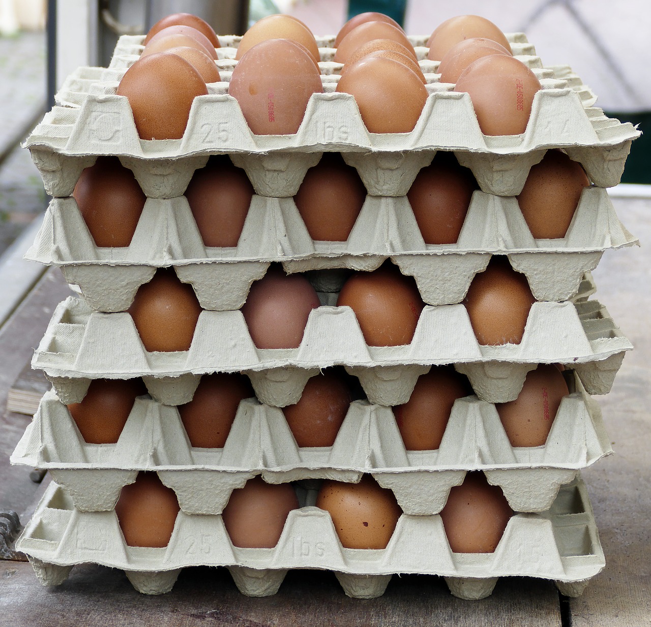 Image - egg chicken eggs egg carton