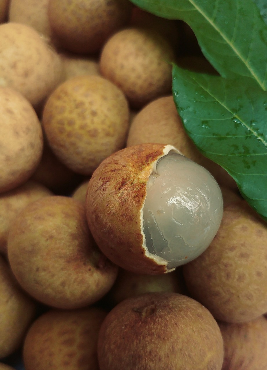 Image - lychee fruit fresh crop sweet