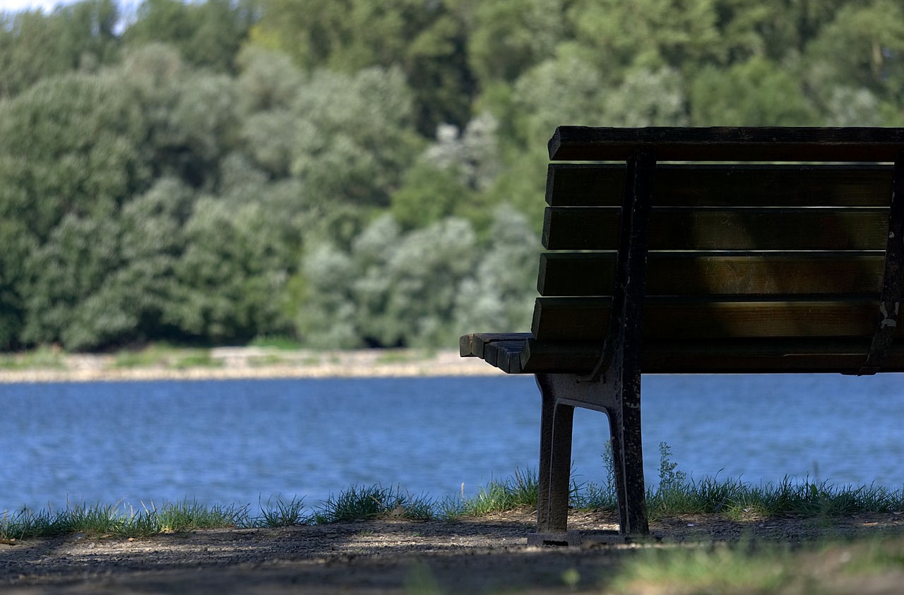 Image - bank cozy water sit lookout rest