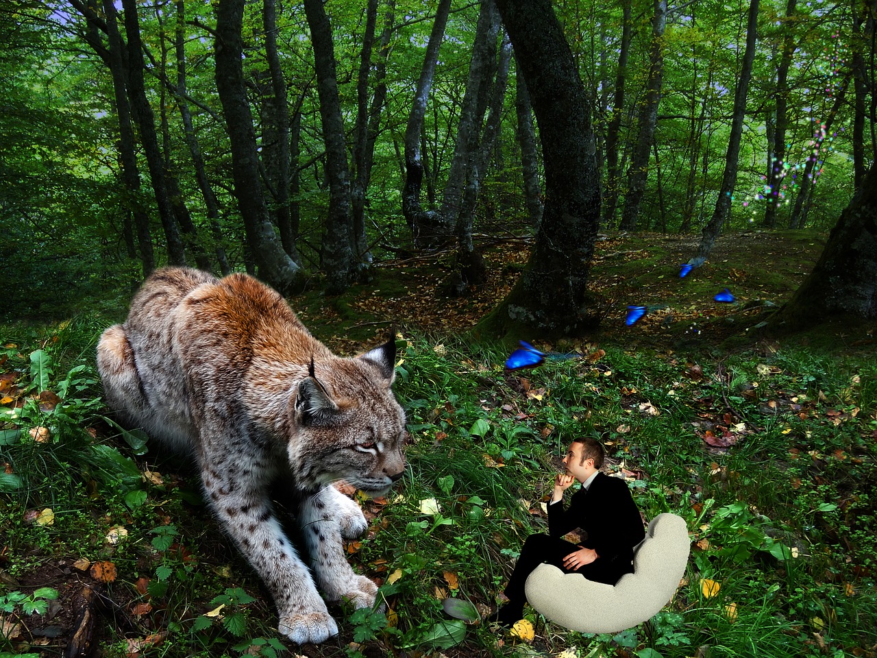 Image - lynx photomontage creative