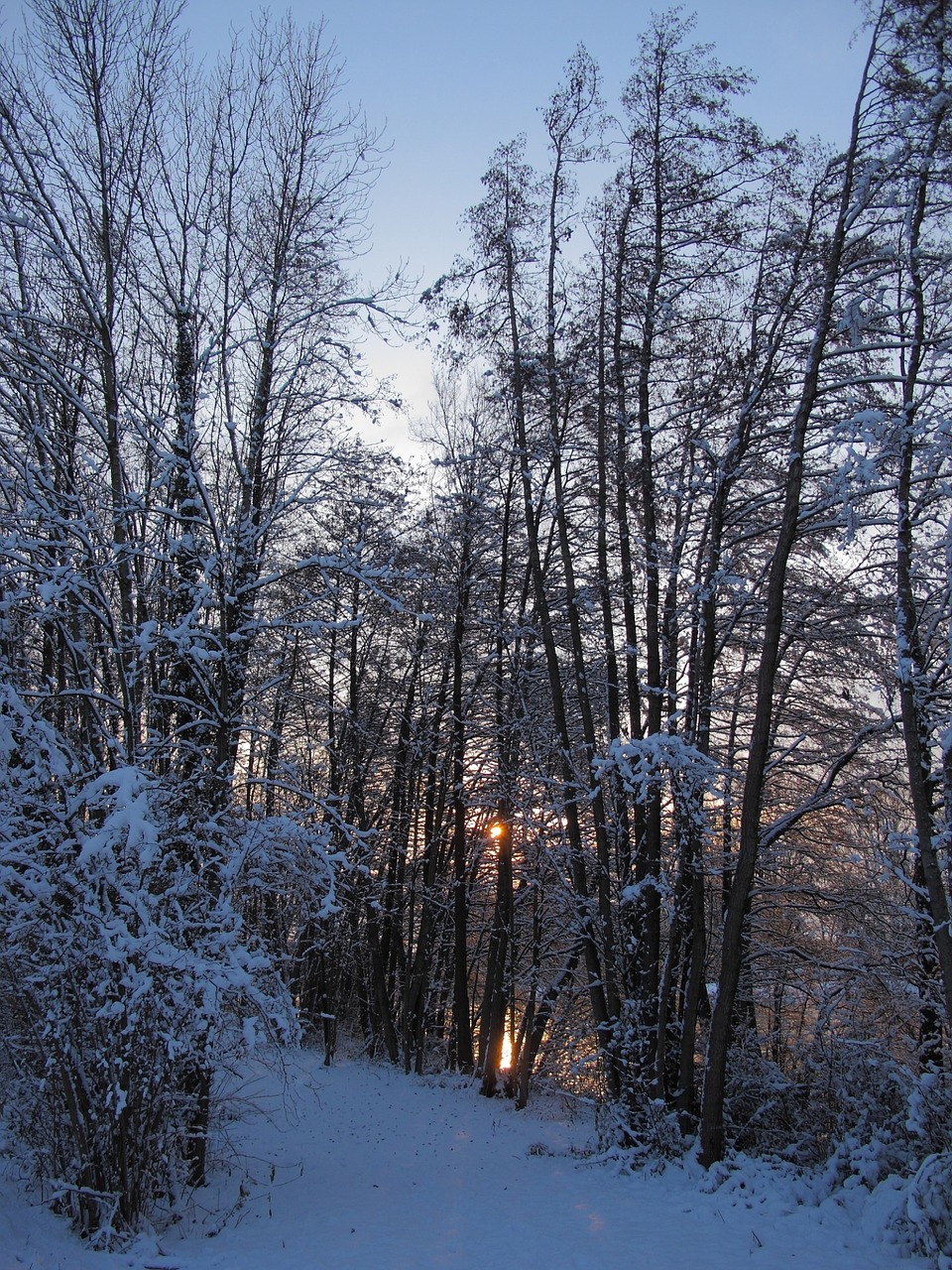 Image - snow france free picture river sun