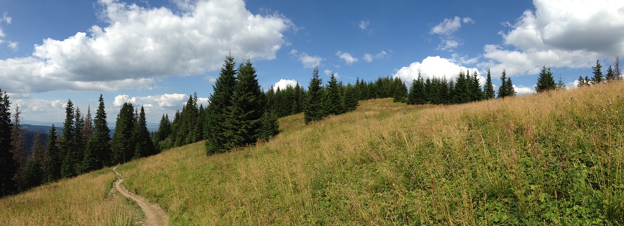 Image - trail landscape tree nature tatry