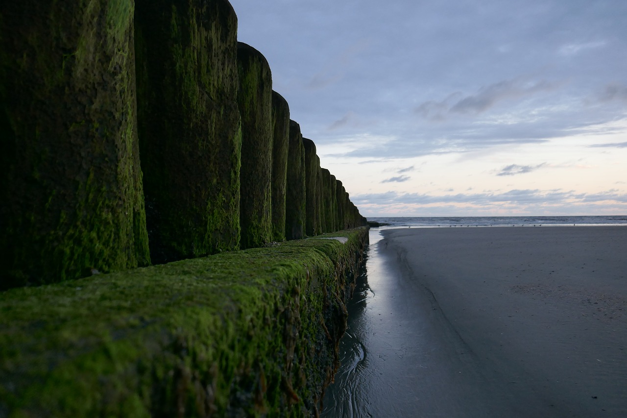 Image - sea morning sunrise beach holiday