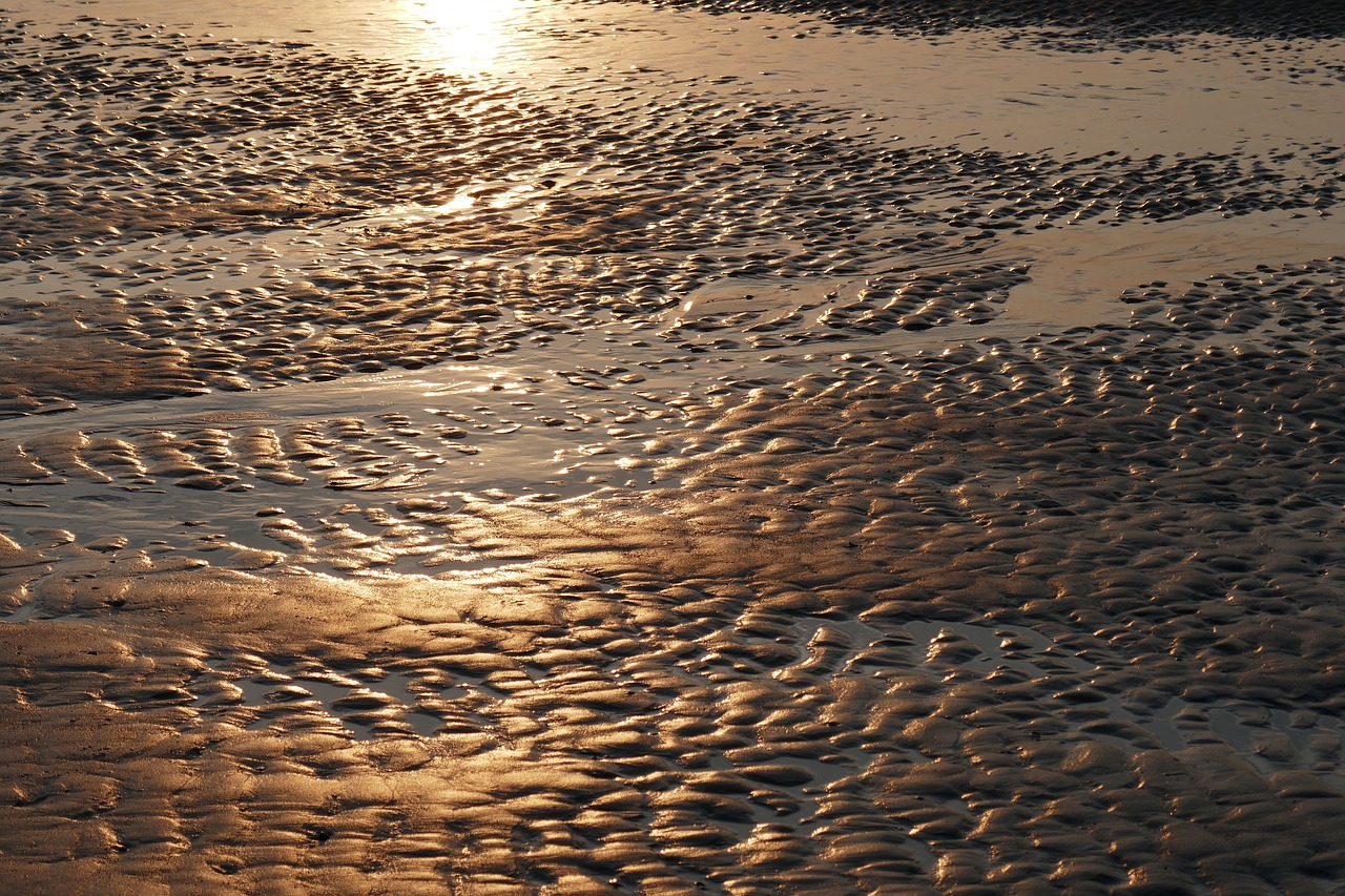 Image - watts priel sea ebb beach coast