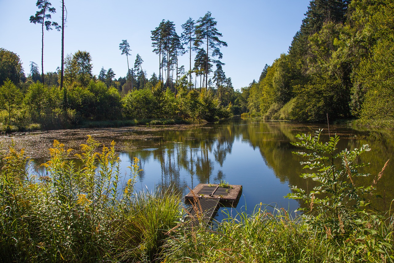 Image - monastery pond salem pond water