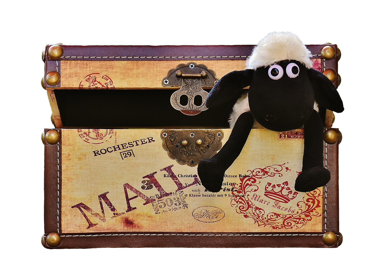 Image - sheep chest box funny animal