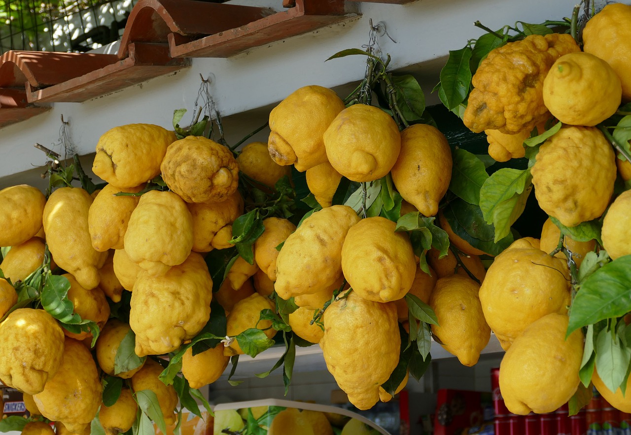 Image - lemon italy mediterranean citrus