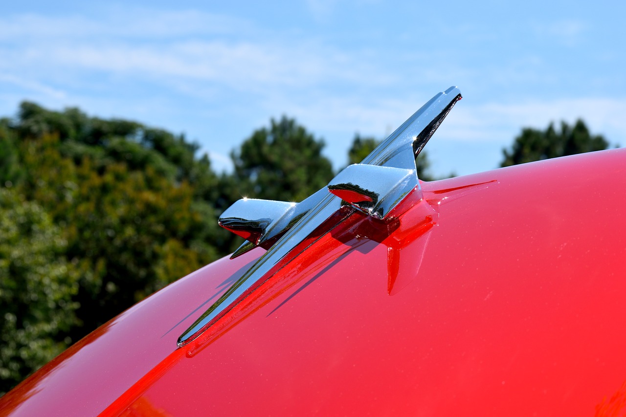 Image - vintage hood ornament design